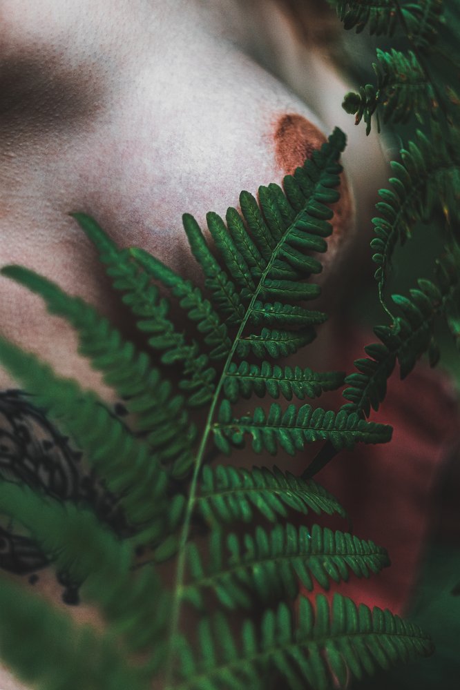 Photograph by Максим Коробихин