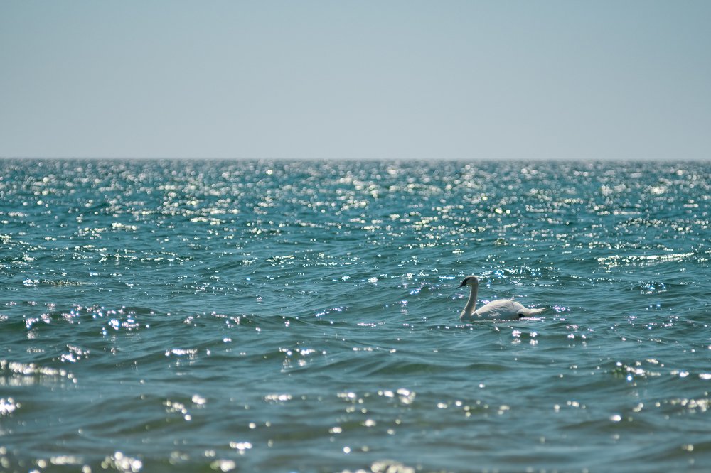 Photograph by Станислав Федашов