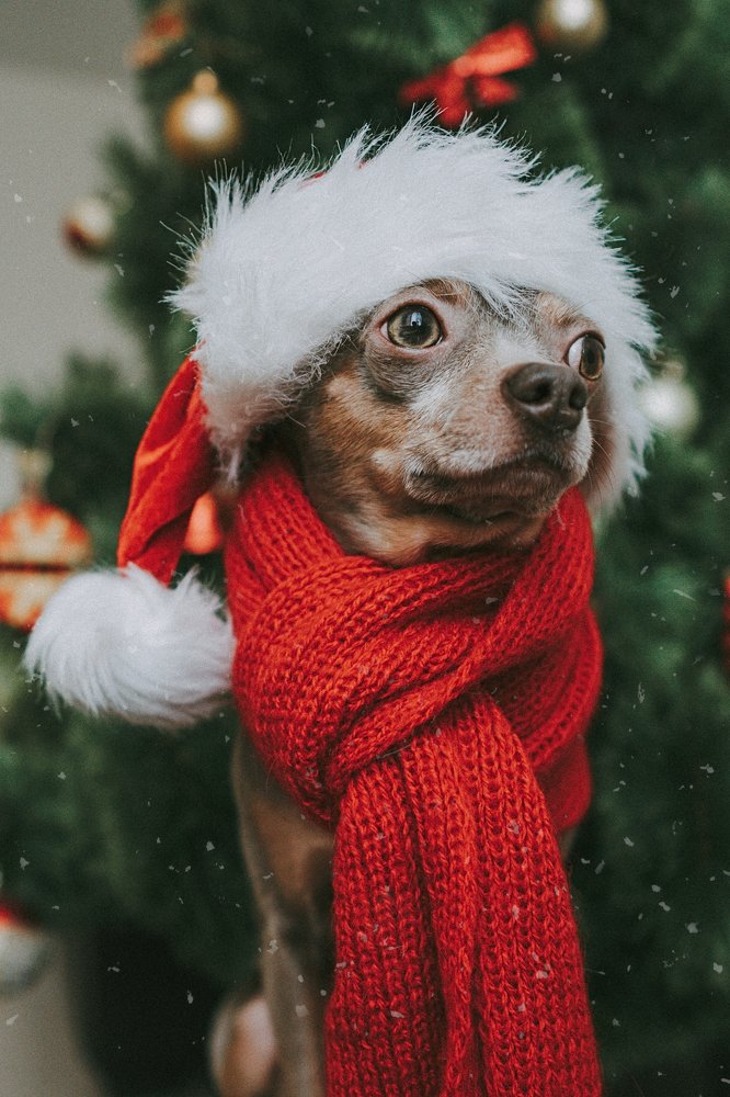 Фотография автора Павел Рехтов