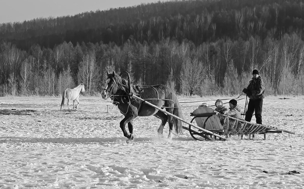 Photograph by Наталья Юрова