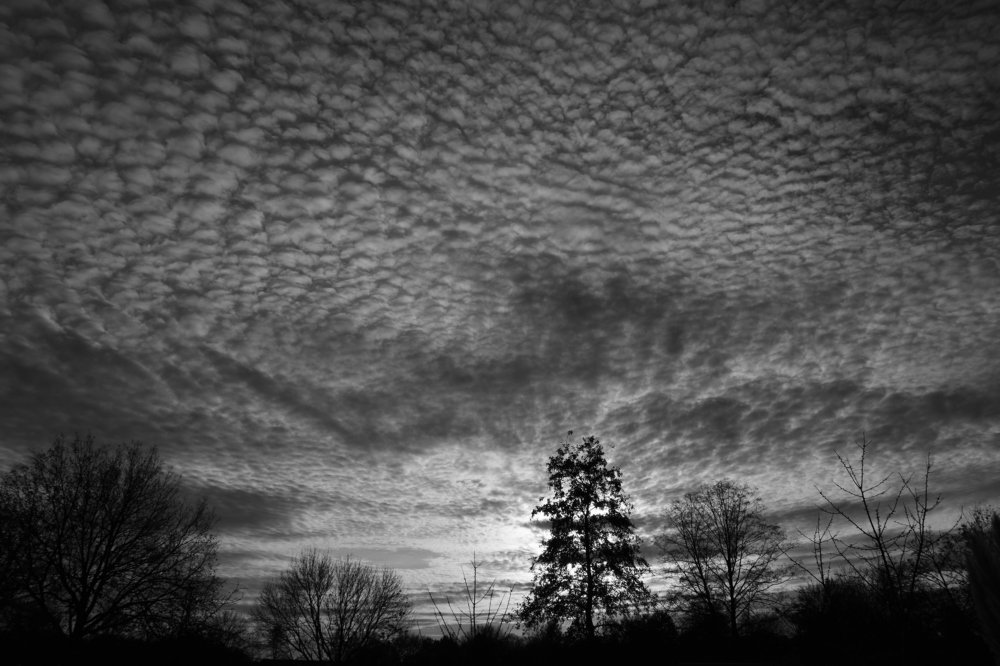 Photograph by Vitalii Kaznin