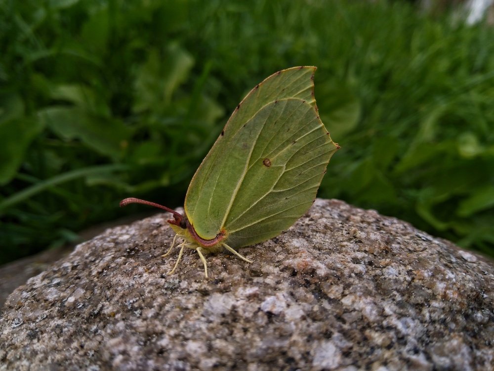 Фотография автора Виктор Конев