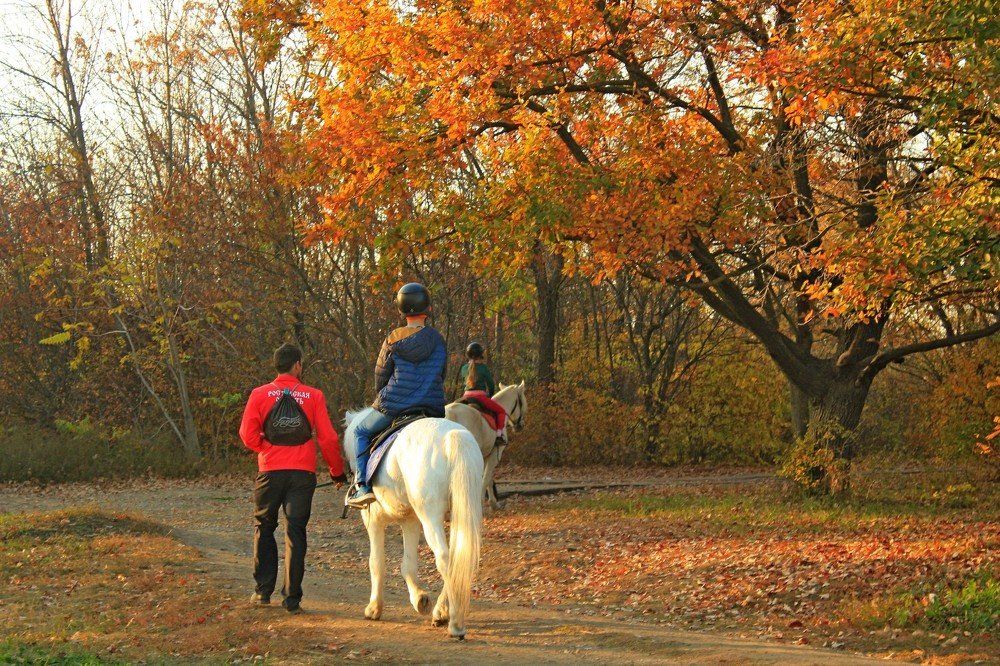 Photograph by Галина Суркова