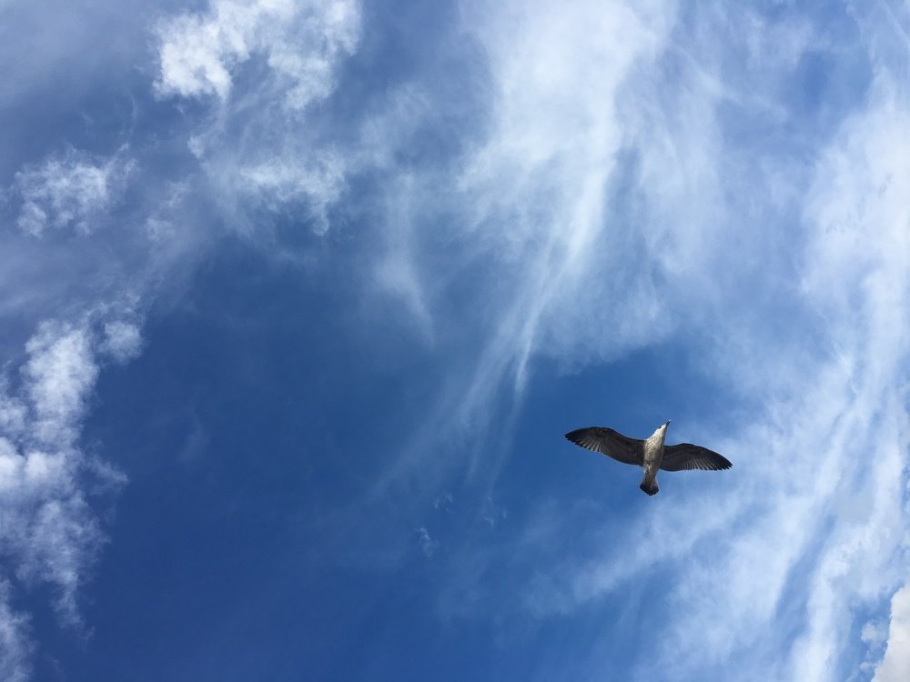 Photograph by Дмитрий Русев