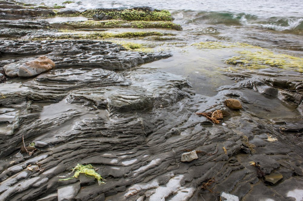 Photograph by Галина Суркова