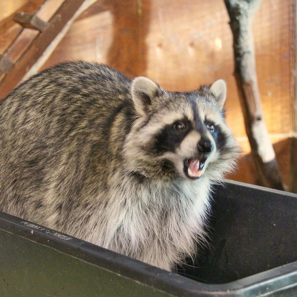 Фотография автора Виктор Крючков