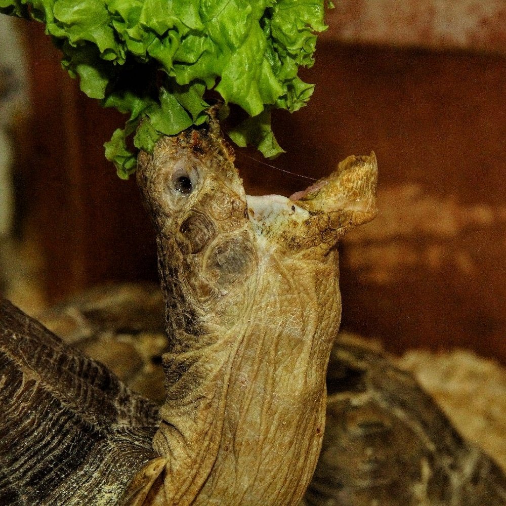 Фотография автора Виктор Крючков