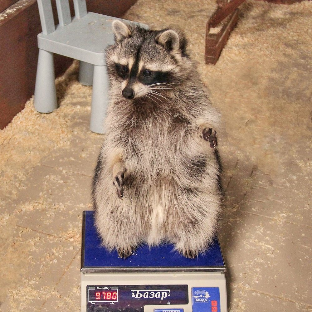 Фотография автора Виктор Крючков