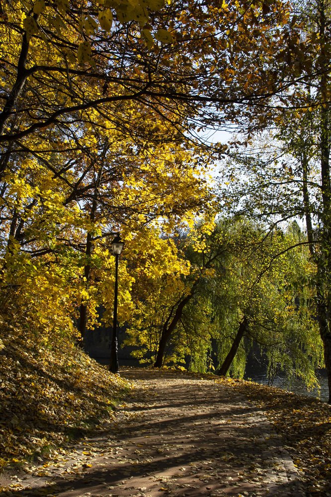 Photograph by Alena Poklonskaia