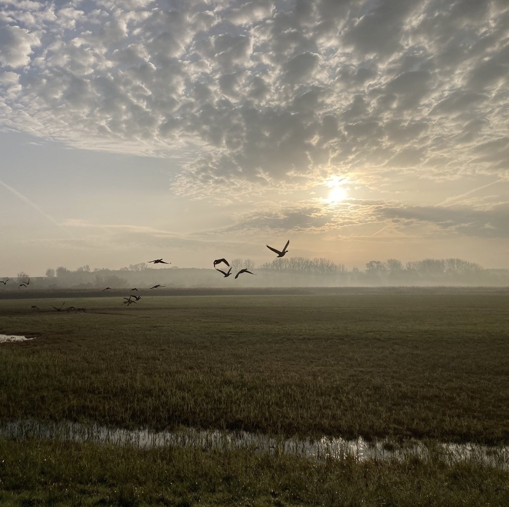 Photograph by Лена Гобена