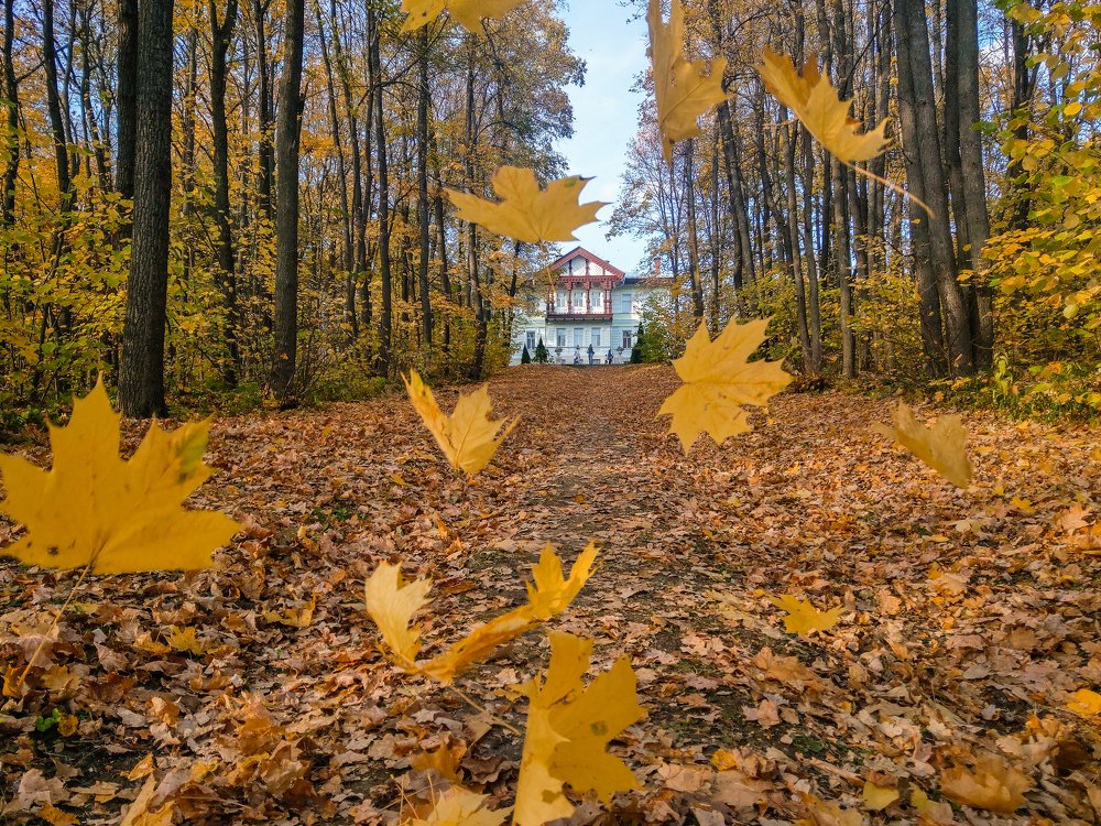 Photograph by Павел Сазанов