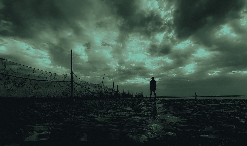 Photo #5233920