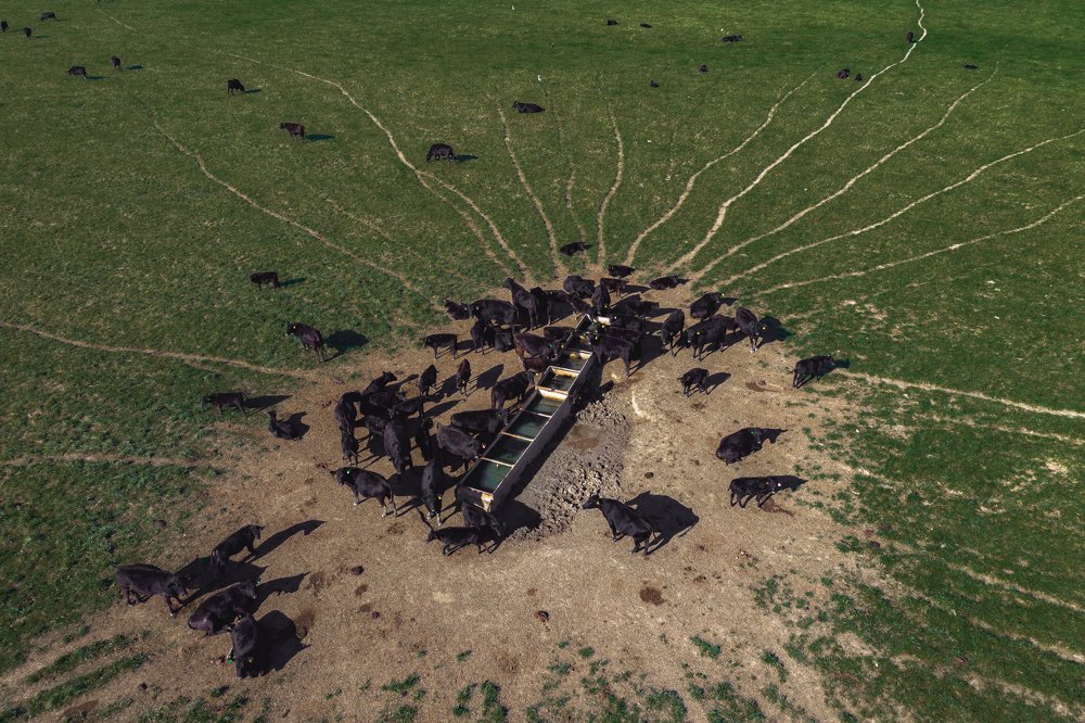 Photograph by Руслан Кабиров