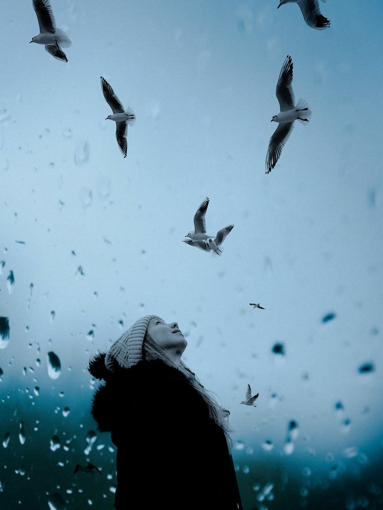 Photograph by Monika Biolik