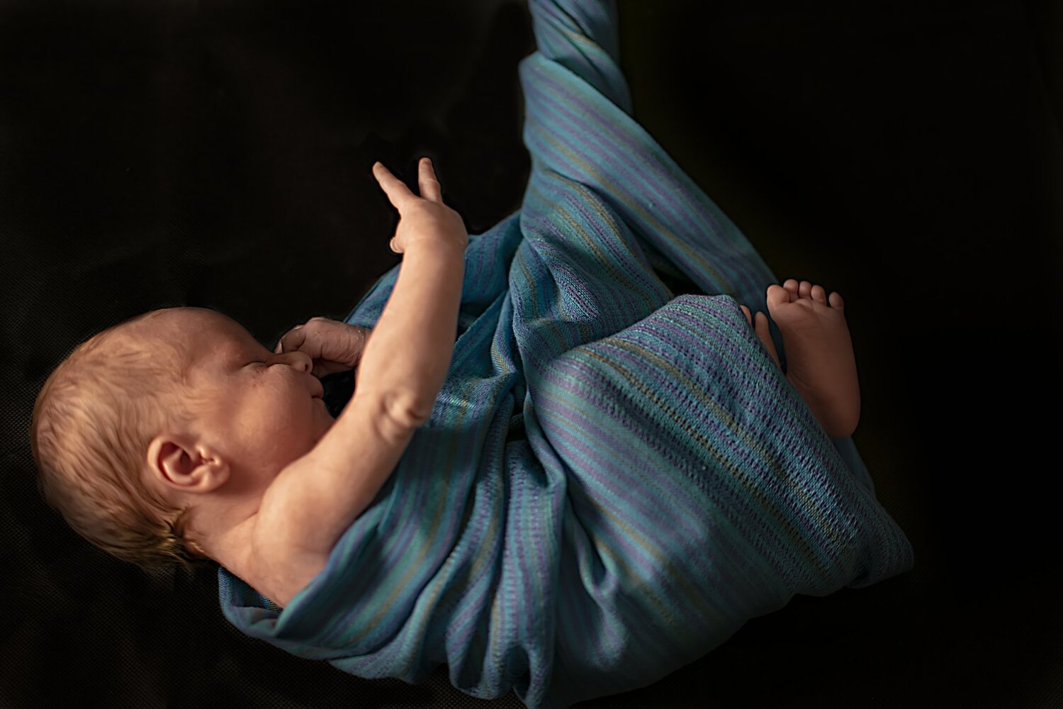 Photo #5234189