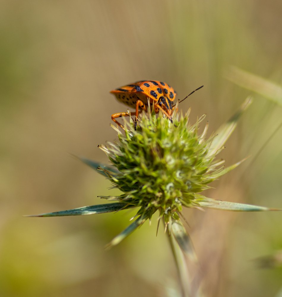 Фотография автора Jorge Herraiz
