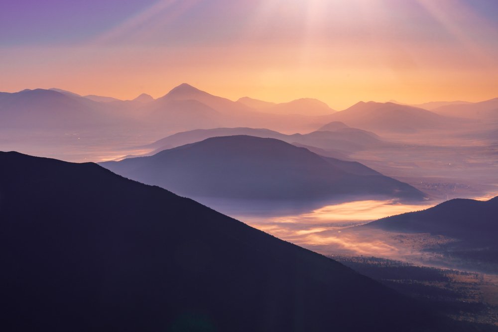 Photograph by Miguel Xoloitscuintle