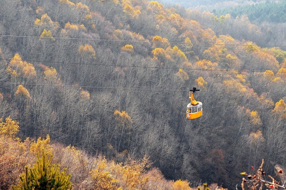 Photograph by Евгений Киселев