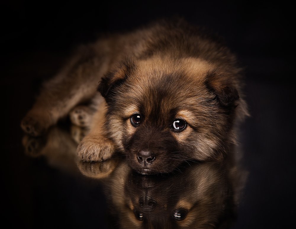 Photograph by Татьяна Кам