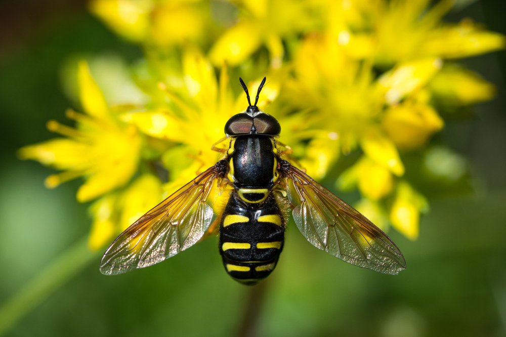 Photograph by Антон Жирнов