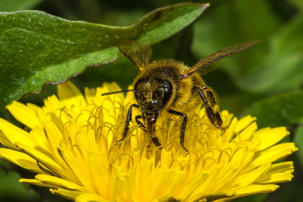 Photograph by Антон Жирнов