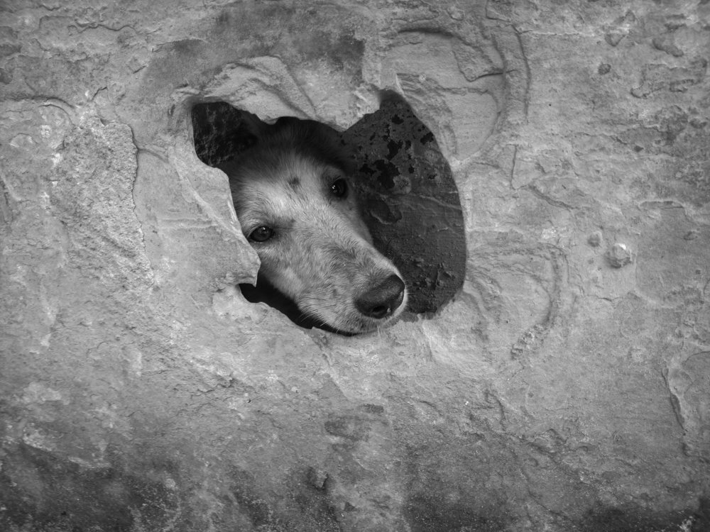 Photograph by Sourabh Sharma