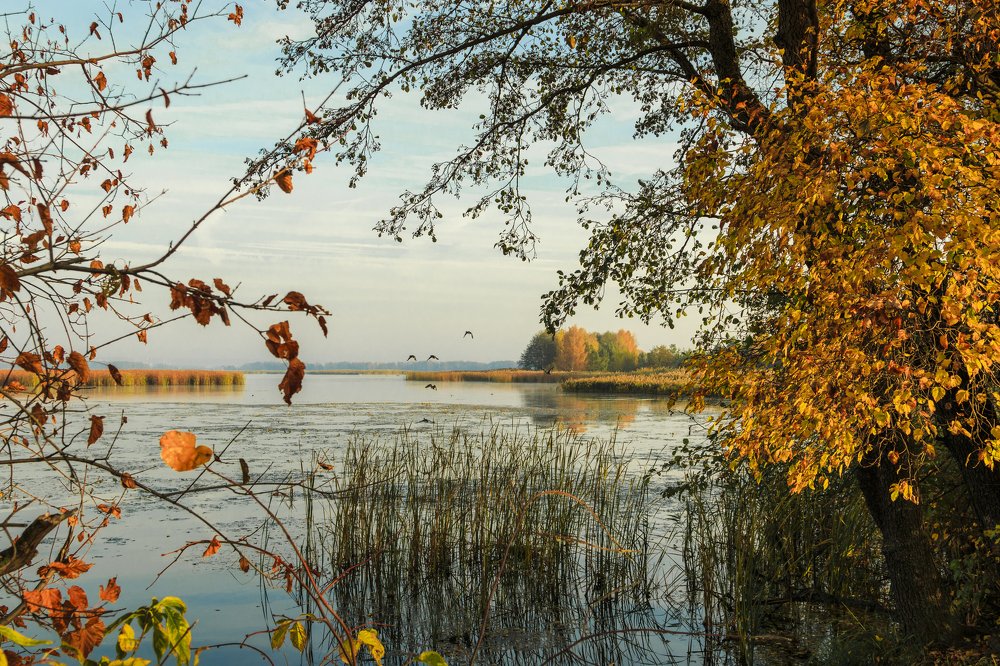 Photograph by Васенин Павел