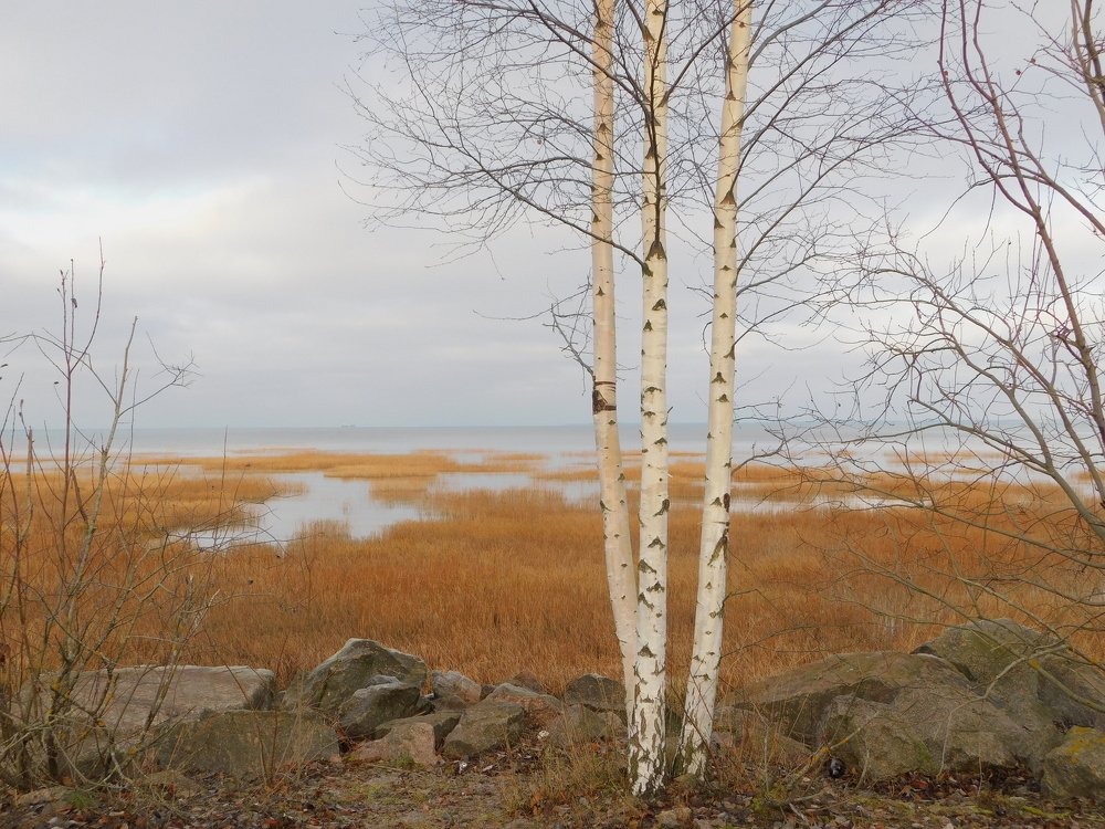 Photograph by Елена Грошева