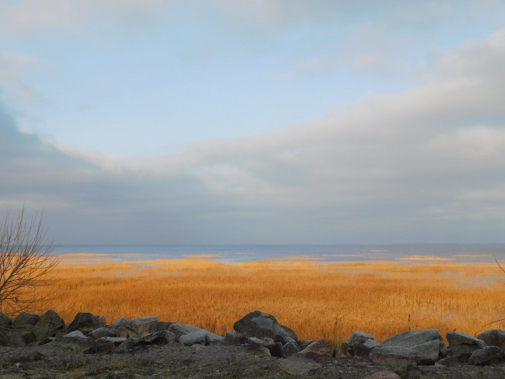 Photograph by Елена Грошева