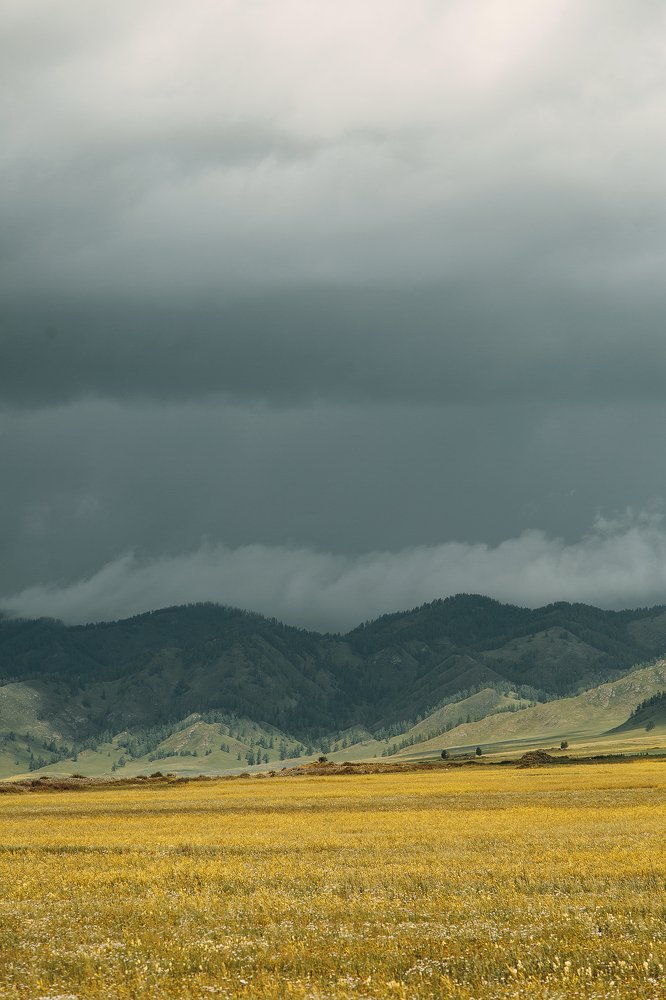 Photograph by Павел Возмищев