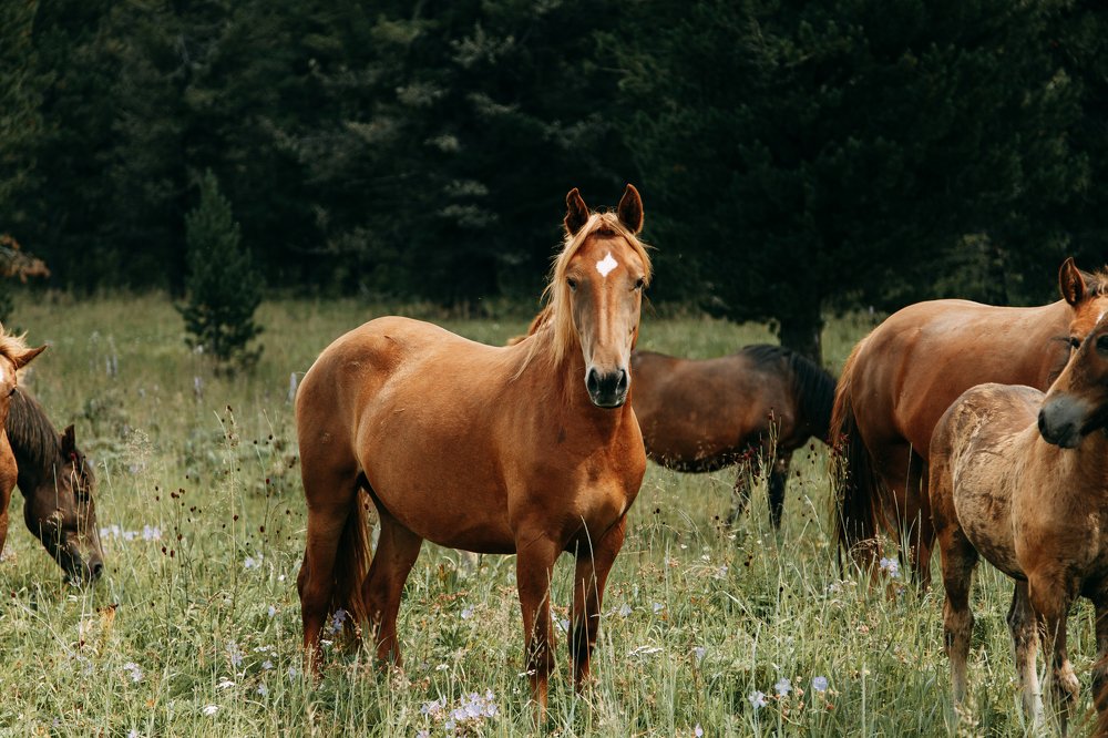 Photograph by Павел Возмищев