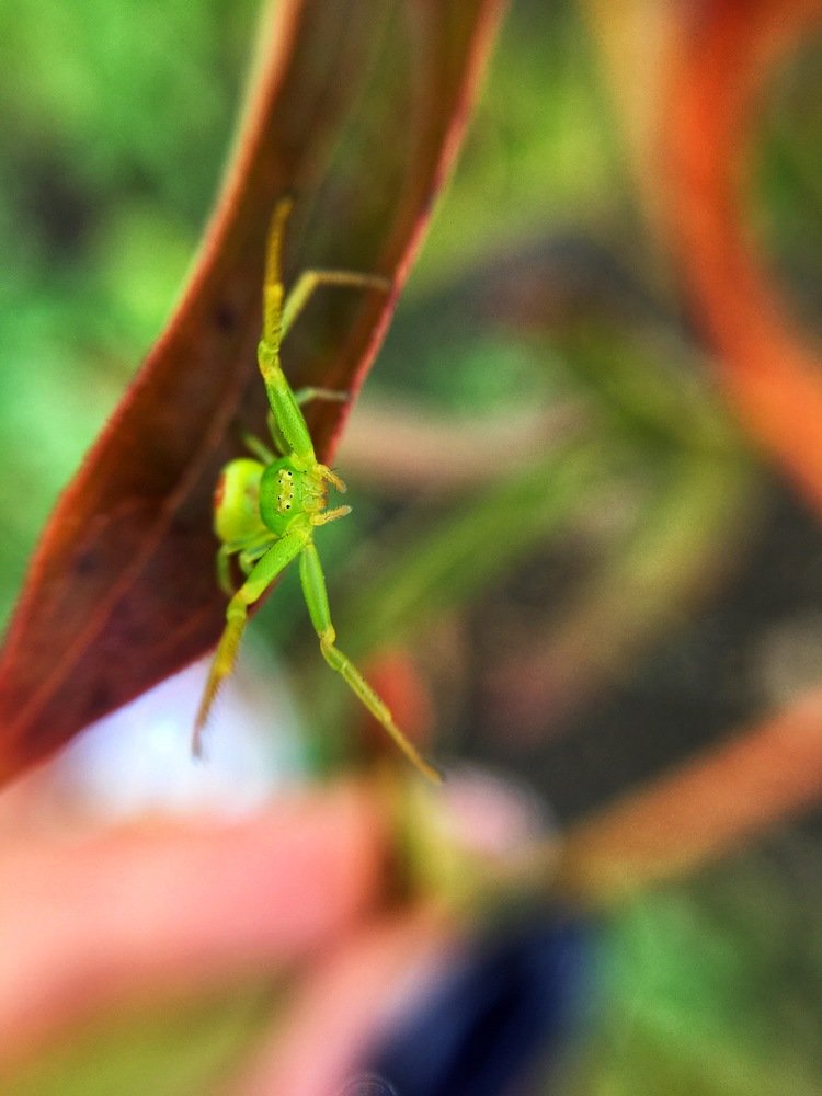 Photograph by Татьяна Галаева