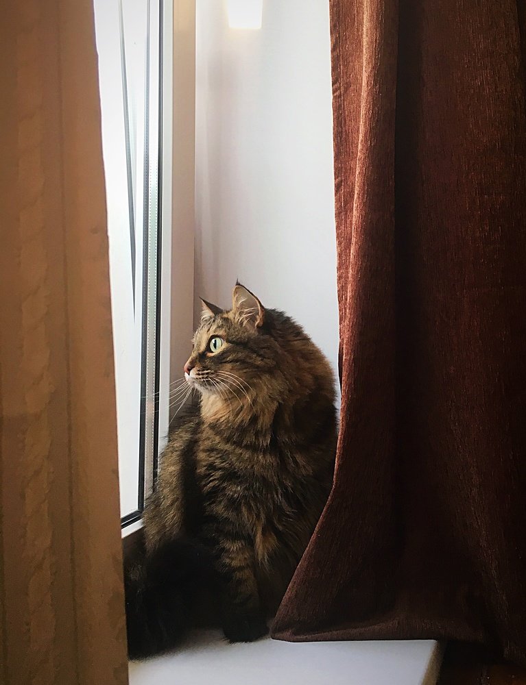 Photograph by Татьяна Галаева