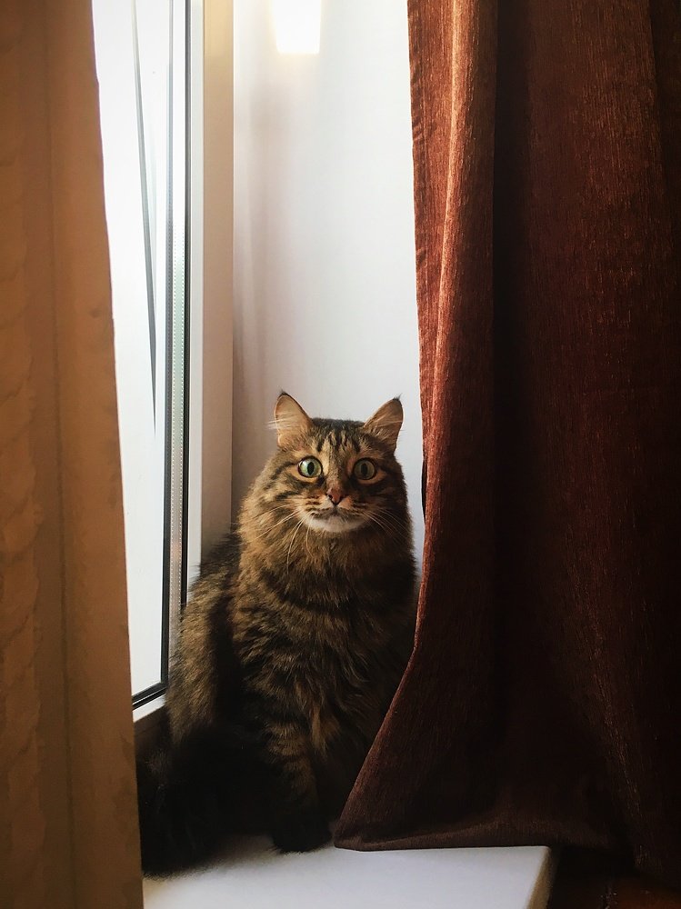 Photograph by Татьяна Галаева