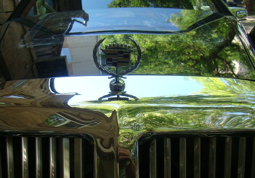 Photograph by Евгений Бригиневич - Снежин