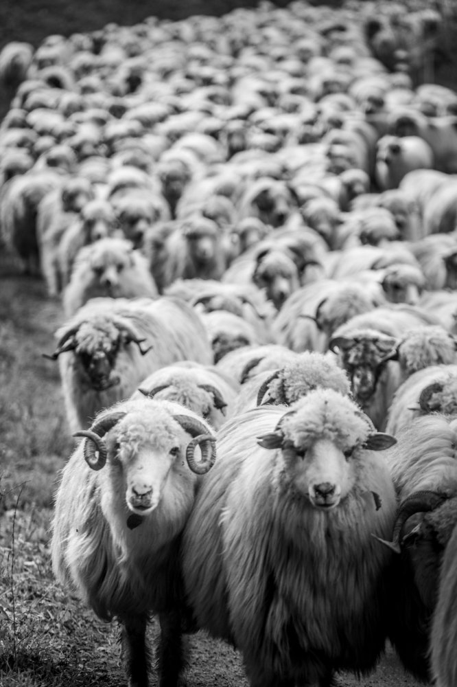 Photograph by Dzintra Zvagina