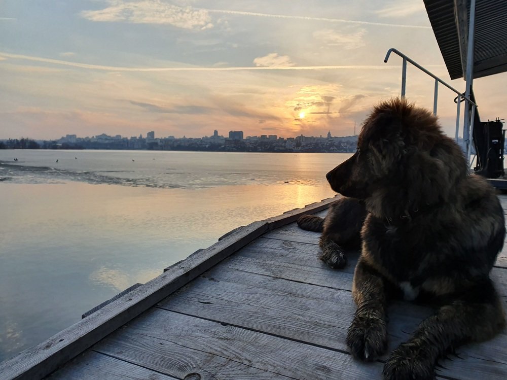 Photograph by Андрей Хитрун