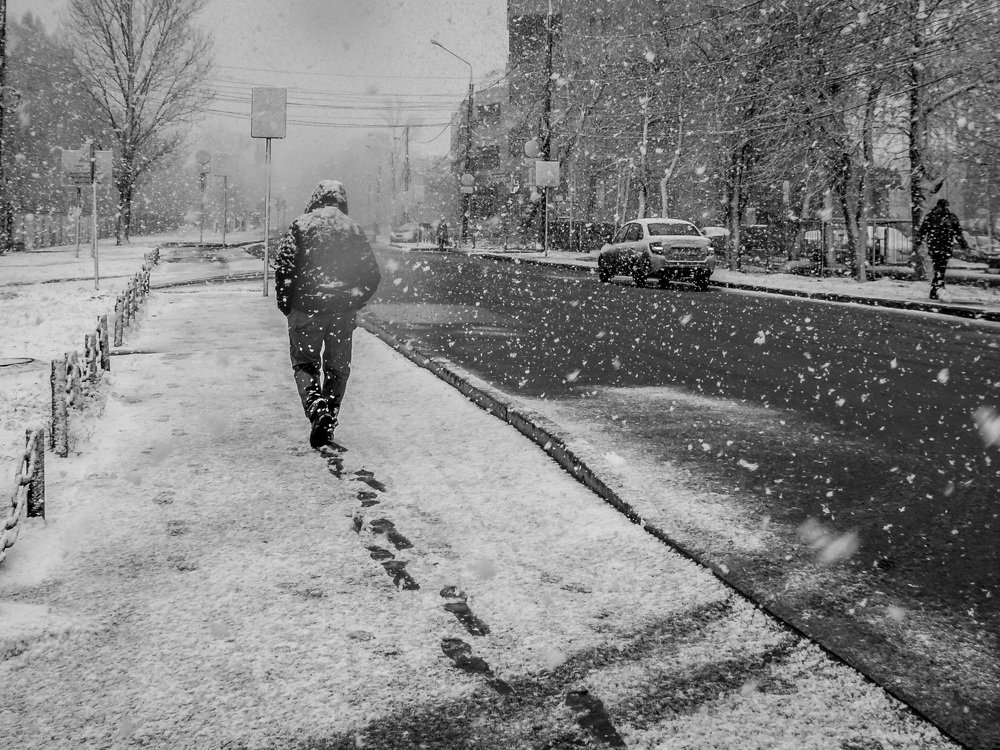 Photograph by Алексей Кисса