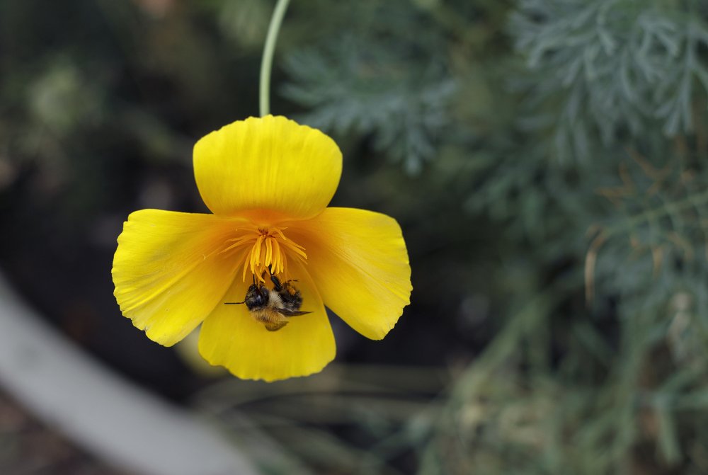 жизнь продолжается