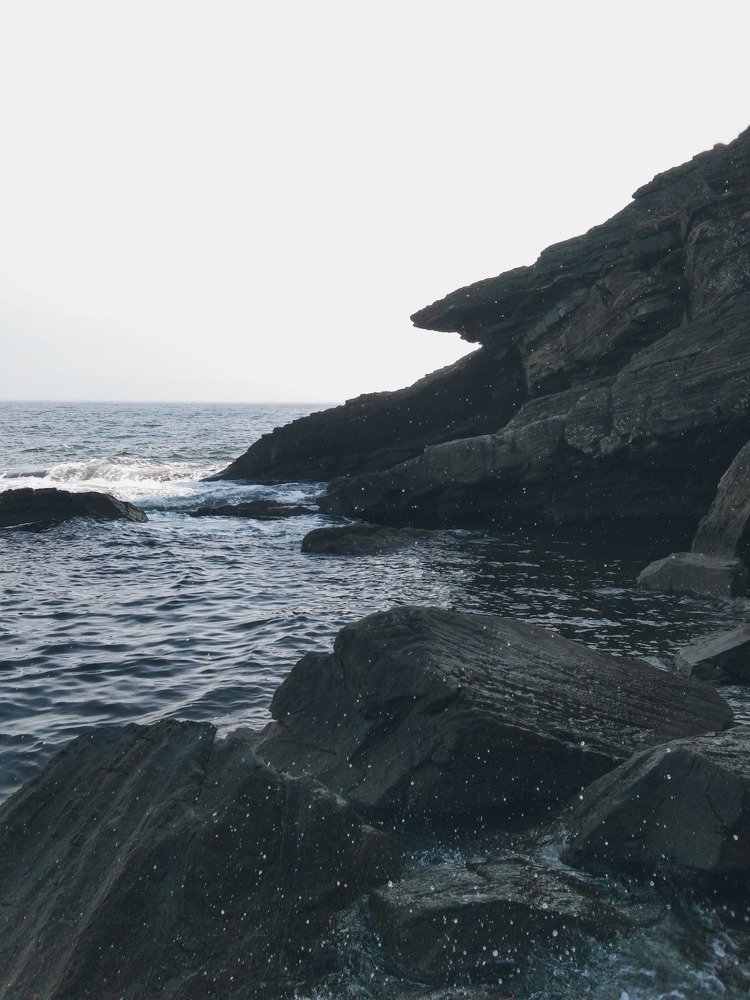 Photo #5234746