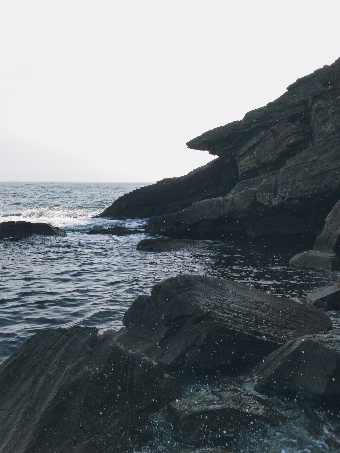 Photo #5234746
