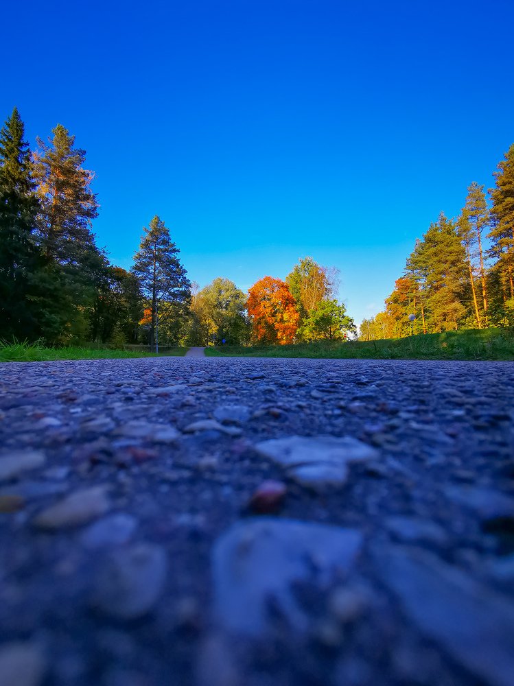 Фотография автора Дмитрий Лебедь