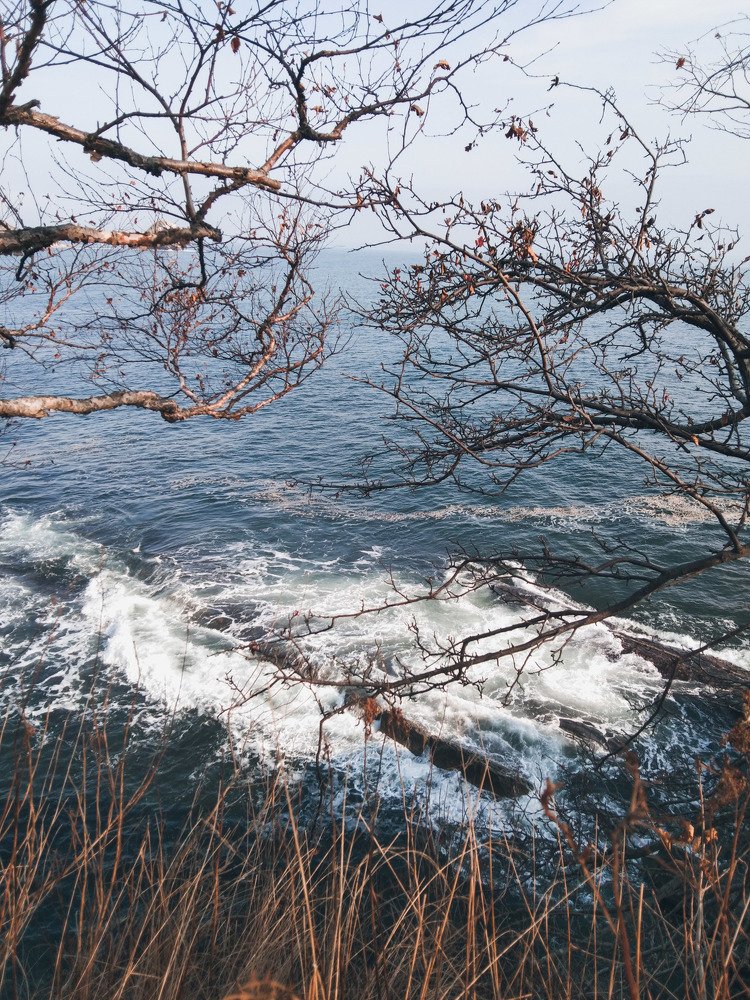 Photo #5234764