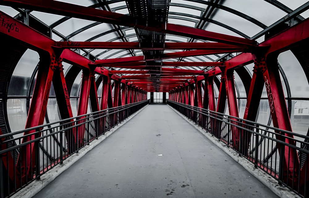 Photograph by Никита Борзов