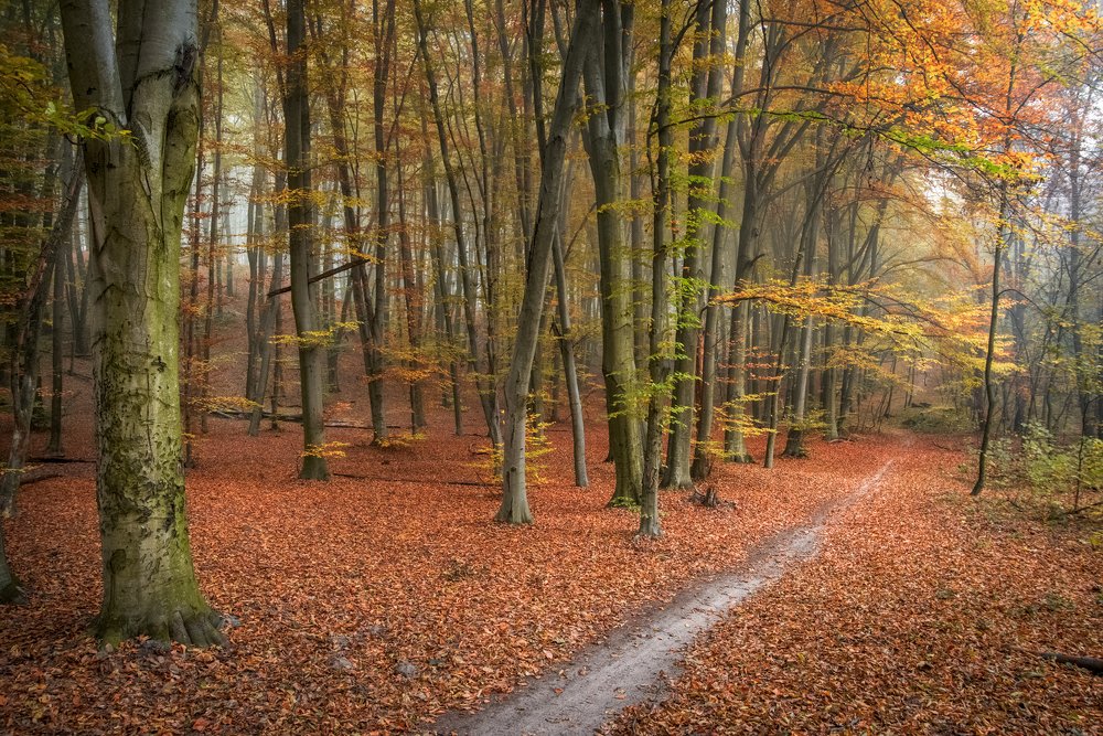 Фотография автора Юрий Юрьев