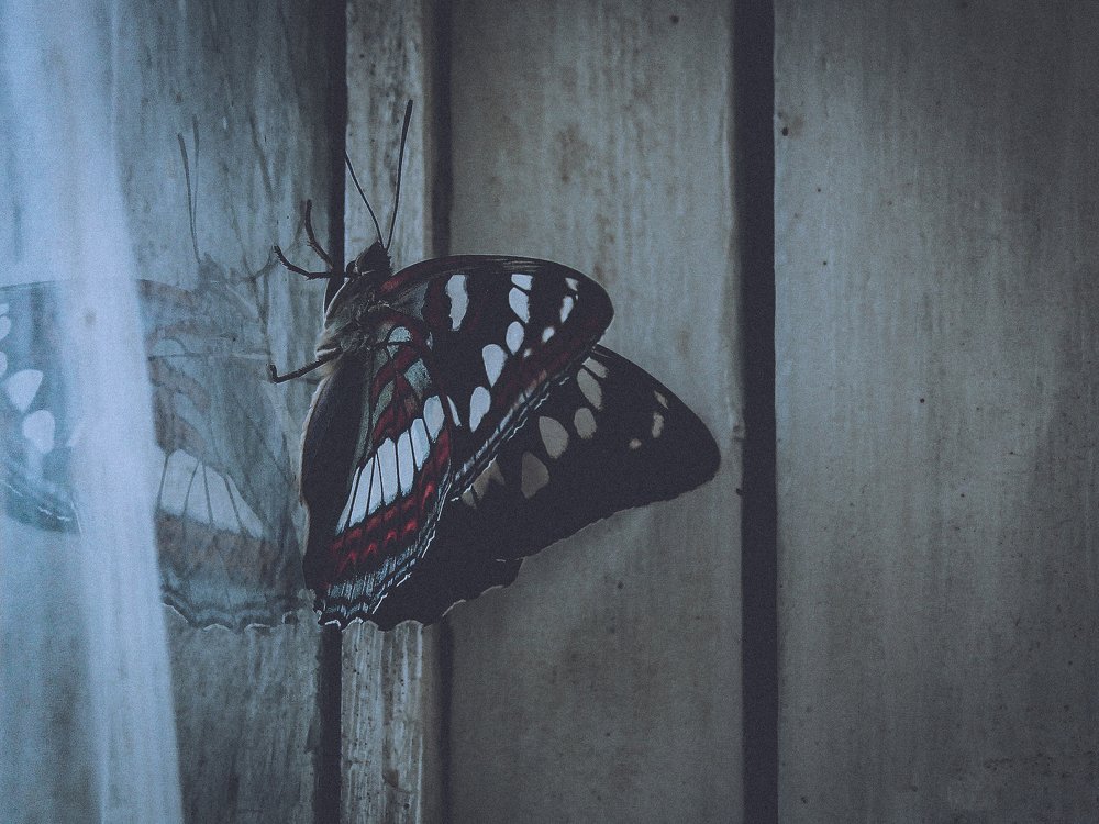 Photograph by Татьяна