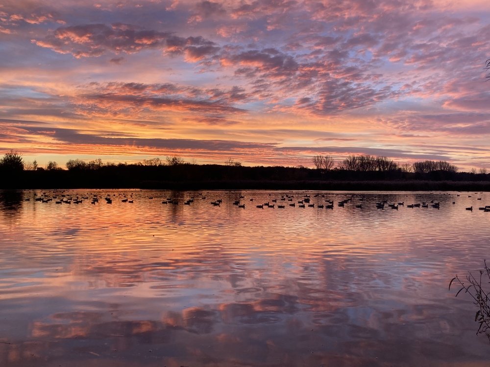 Photograph by Лена Гобена