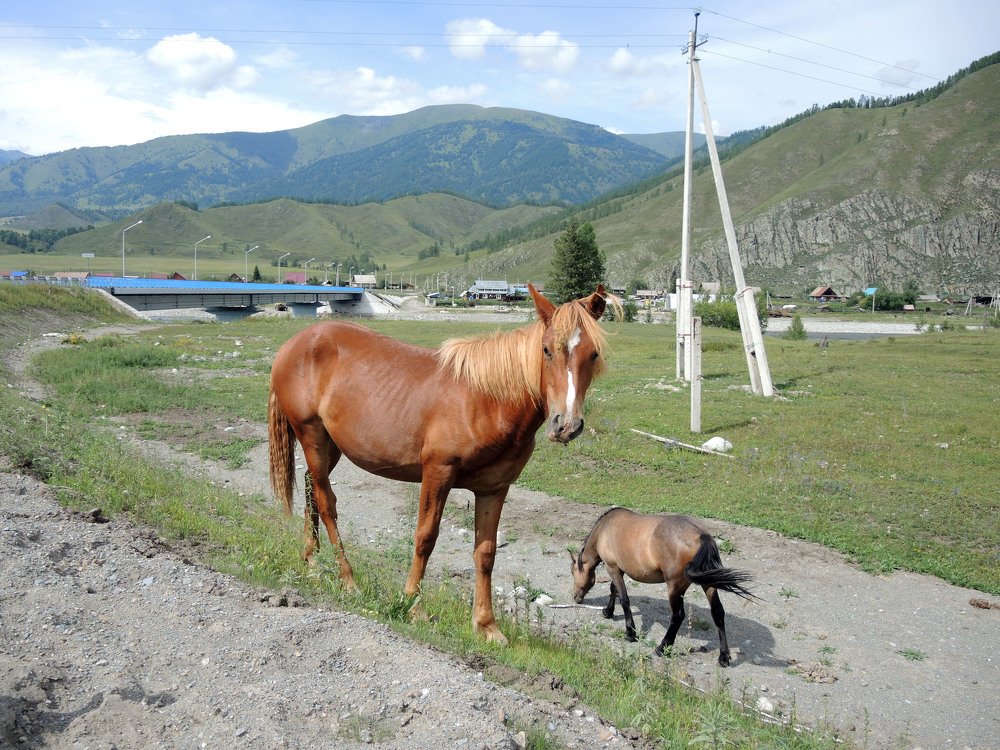 Photograph by София Гавриловна Вотякова