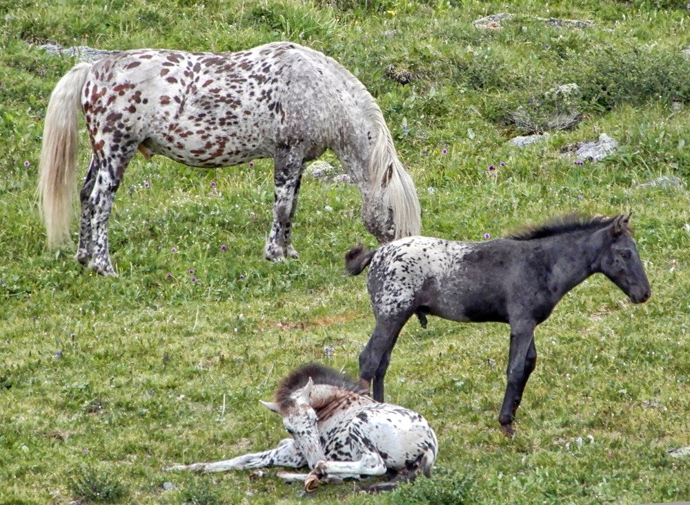 Photograph by София Гавриловна Вотякова