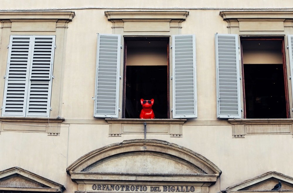 Photograph by Синицына Юлия